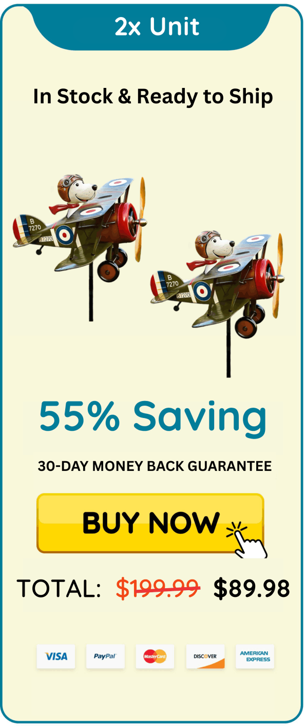 Windodream Sky Dreamer package 2